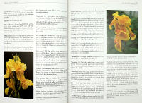 The Gardener's Guide to Growing CANNAS