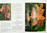 The Gardener's Guide to Growing CANNAS