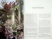 The Gardener's Guide to Growing CANNAS