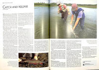 The Complete Book of FLY FISHING &ndash; The Fish, the Water, the Flies and the Challenge