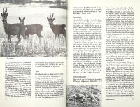 INJAGNING AV JAKTHUNDAR