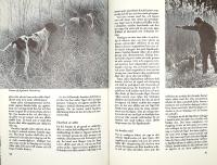 INJAGNING AV JAKTHUNDAR