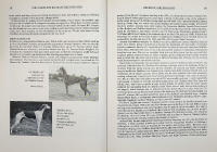 The Complete Book of GREYHOUNDS
