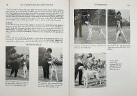The Complete Book of GREYHOUNDS