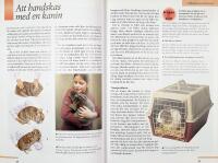 Goda r&aring;d om dina SM&Aring;DJUR