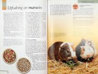 Goda r&aring;d om dina SM&Aring;DJUR