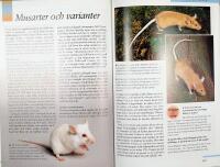 Goda r&aring;d om dina SM&Aring;DJUR