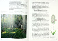 LIVETS V&Auml;V : Om den biologiska m&aring;ngfaldens betydelse