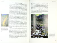 LIVETS V&Auml;V : Om den biologiska m&aring;ngfaldens betydelse