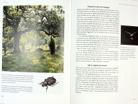 LIVETS V&Auml;V : Om den biologiska m&aring;ngfaldens betydelse