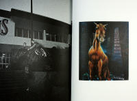 HORSE PLAY - A Streethorsing retrospective