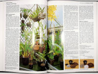 ORCHIDS FOR EVERYONE &ndash; A Practical Guide to the Home Cultivation of over 200 of the World's Most Beautiful Orchids