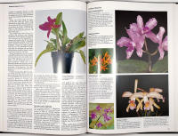ORCHIDS FOR EVERYONE &ndash; A Practical Guide to the Home Cultivation of over 200 of the World's Most Beautiful Orchids