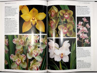 ORCHIDS FOR EVERYONE &ndash; A Practical Guide to the Home Cultivation of over 200 of the World's Most Beautiful Orchids