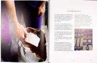 KOPPARTR&Aring;D, &Auml;PPELBLOM OCH LEVEBR&Ouml;D : V&auml;rldsarvet Falun