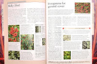 PLANTS FOR SMALL SPACES