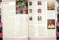 PLANTS FOR SMALL SPACES