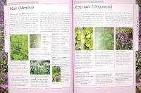 PLANTS FOR SMALL SPACES