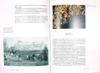 DET &Auml;KTA PROVENCE &ndash; Maten, landskapet & historien