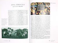 DET &Auml;KTA PROVENCE &ndash; Maten, landskapet & historien