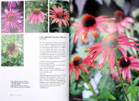 PERENNER F&Ouml;R ALLA TR&Auml;DG&Aring;RDAR