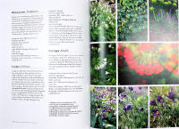 PERENNER F&Ouml;R ALLA TR&Auml;DG&Aring;RDAR