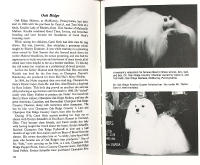 The MALTESE ( Malteser, malteserhund )