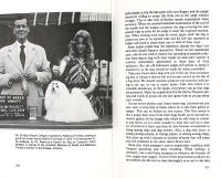 The MALTESE ( Malteser, malteserhund )