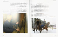 Den svenska H&Auml;STHANDBOKEN &ndash; Den kompletta handboken f&ouml;r h&auml;st&auml;gare och ryttare