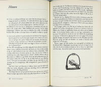 H&Auml;STVETERIN&Auml;REN : 200 fr&aring;gor och svar om h&auml;stars h&auml;lsa och sjukdom