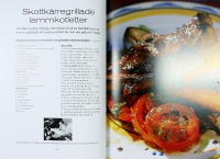 GRILLA MED ALLT OM MAT