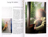 KATT&Auml;GARENS HANDBOK