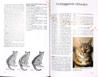 KATT&Auml;GARENS HANDBOK