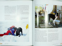 F&Ouml;RST&Aring; HUNDEN &ndash; Om hundens psyke och behov