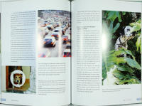 F&Ouml;RST&Aring; HUNDEN &ndash; Om hundens psyke och behov