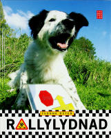 RALLYLYDNAD