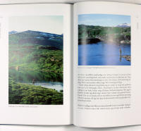 FISKEN, FLUGAN OCH JAG &ndash; Flugfiskarens olika arter