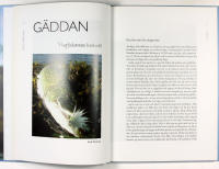 FISKEN, FLUGAN OCH JAG &ndash; Flugfiskarens olika arter