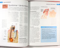 Prismas STORA BOK OM H&Auml;LSA &ndash; Hela familjens l&auml;karbok