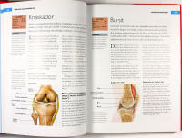 Prismas STORA BOK OM H&Auml;LSA &ndash; Hela familjens l&auml;karbok