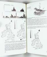 RARE BIRDS in Britain and Ireland