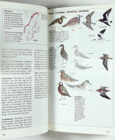 NORDENS F&Aring;GLAR