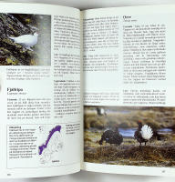 NORDENS F&Aring;GLAR