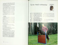 ROTTWEILERN &ndash; En utm&auml;rkt brukshund