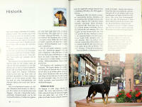 ROTTWEILERN &ndash; En utm&auml;rkt brukshund