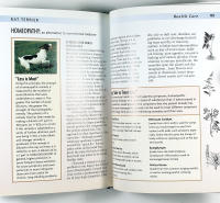 RAT TERRIER &ndash; A Comprehensive Owner's Guide