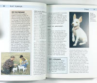 RAT TERRIER &ndash; A Comprehensive Owner's Guide