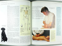 Illustrerad uppslagsbok om ALTERNATIVA TERAPIER &ndash;&ndash; Akupunktur &bull; Yoga &bull; Floating &bull; Osteopati &bull; Biofeedback &bull; Visualisering