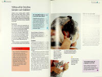 Djurdoktorn &ndash; KATT