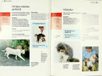 Djurdoktorn &ndash; KATT